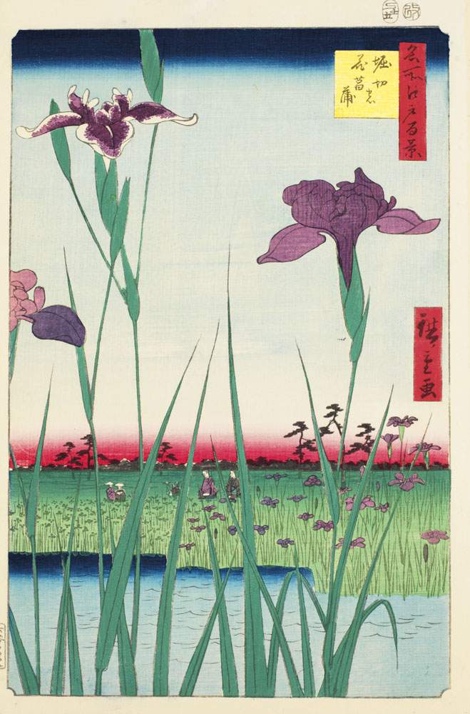 Iris garden, Horikiri