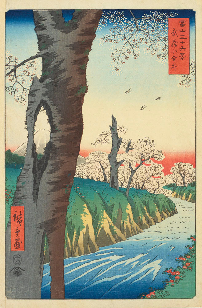 Koganei in Musashi Province