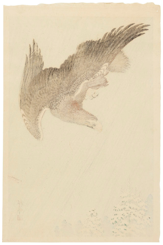 Eagle in Flight against a Snowy Sky