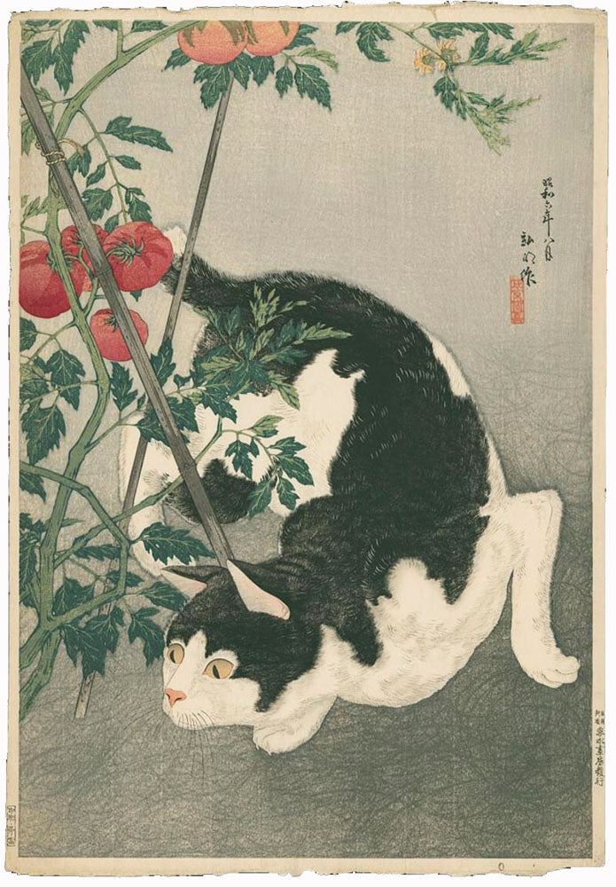 Black Cat and Tomato Plant (Limited Edition)