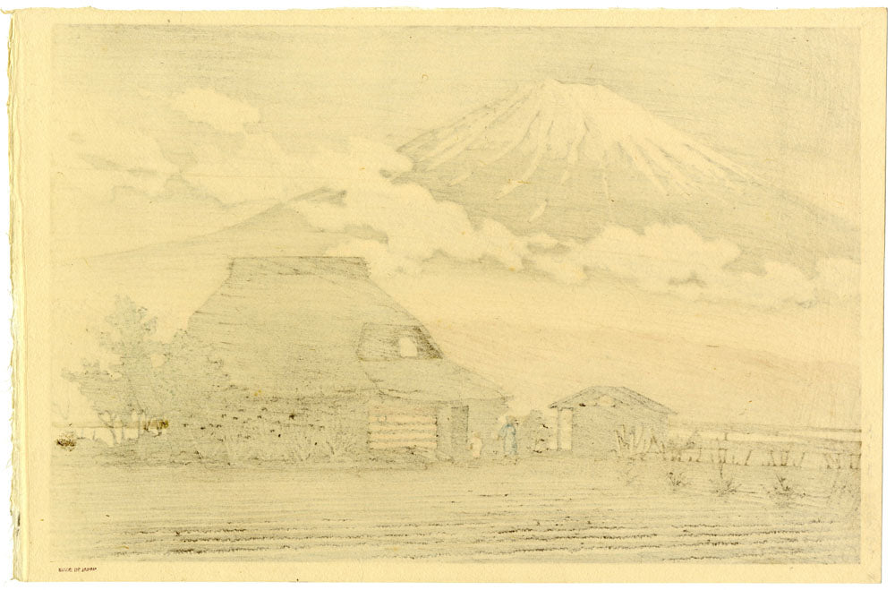 Mount Fuji at Narusawa