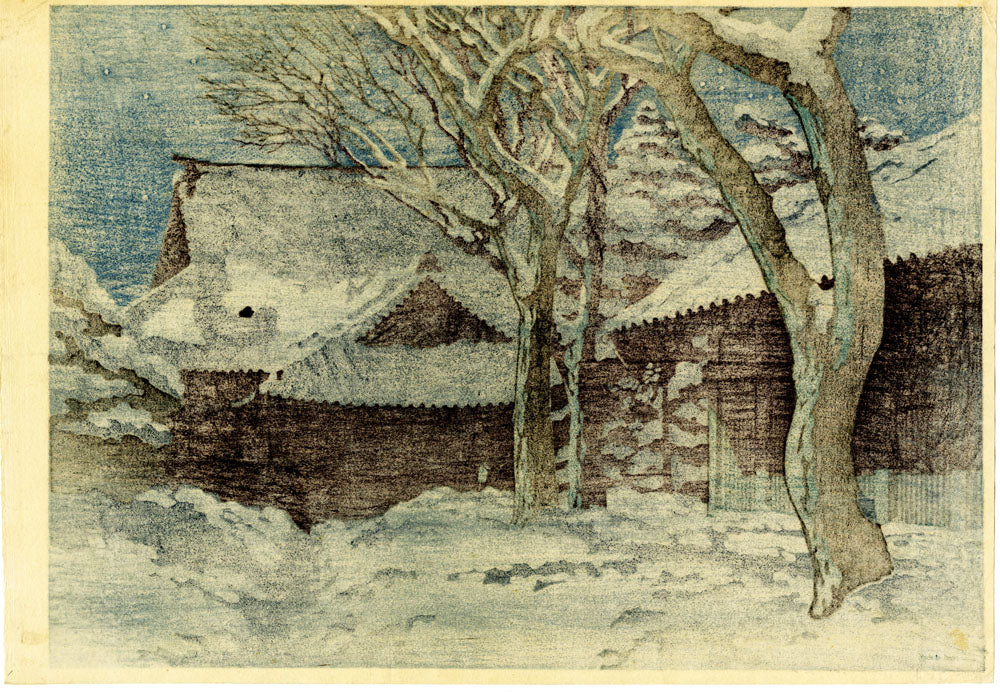 Winter Snow in Tokyo