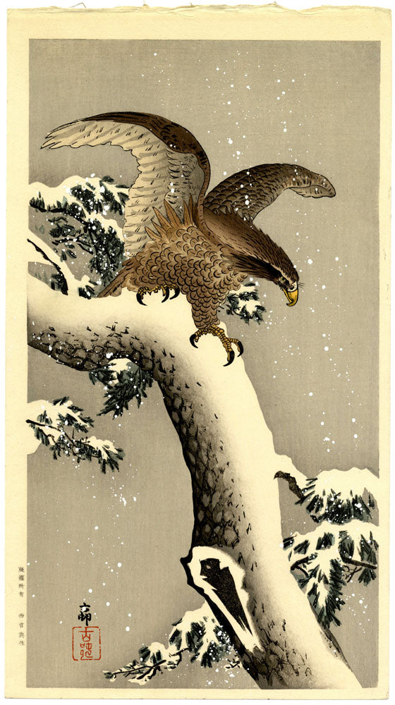 Eagle on Snowy Tree Bough