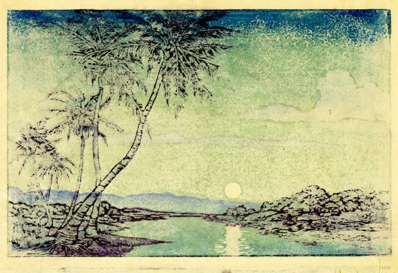 Coconut Palms in Honolulu, Hawai'i