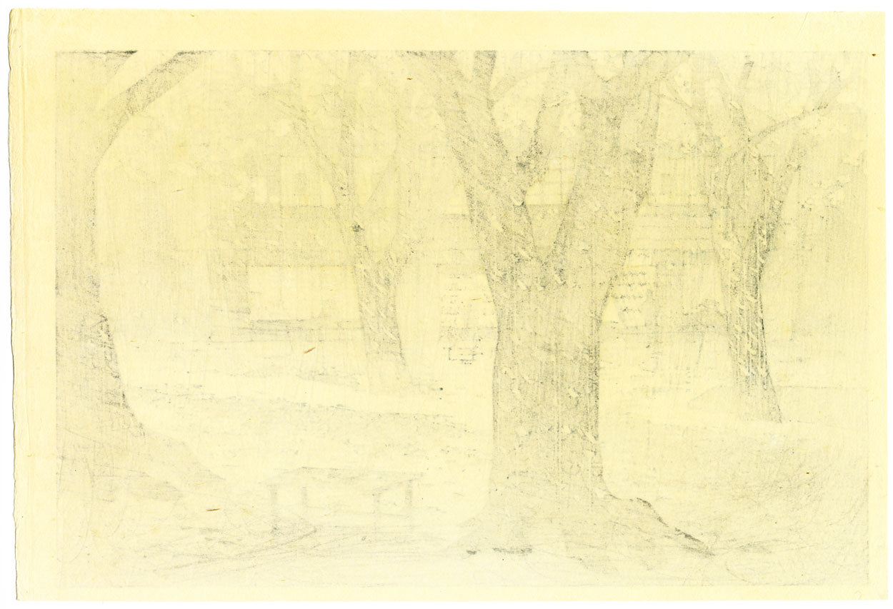 A Shower of Cherry Blossoms at Kanabayashi Hot Spring, Shinshu