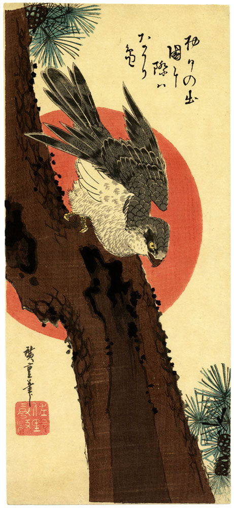 Goshawk, Pine Tree and Rising Sun