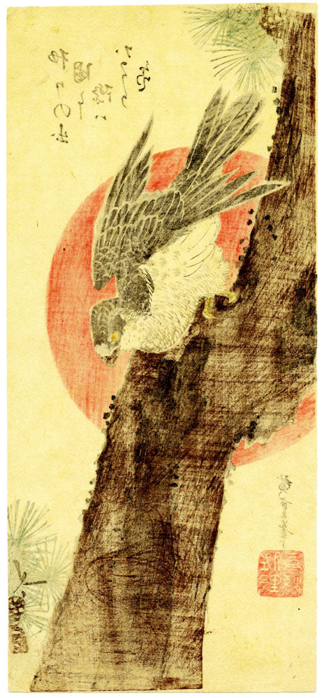 Goshawk, Pine Tree and Rising Sun