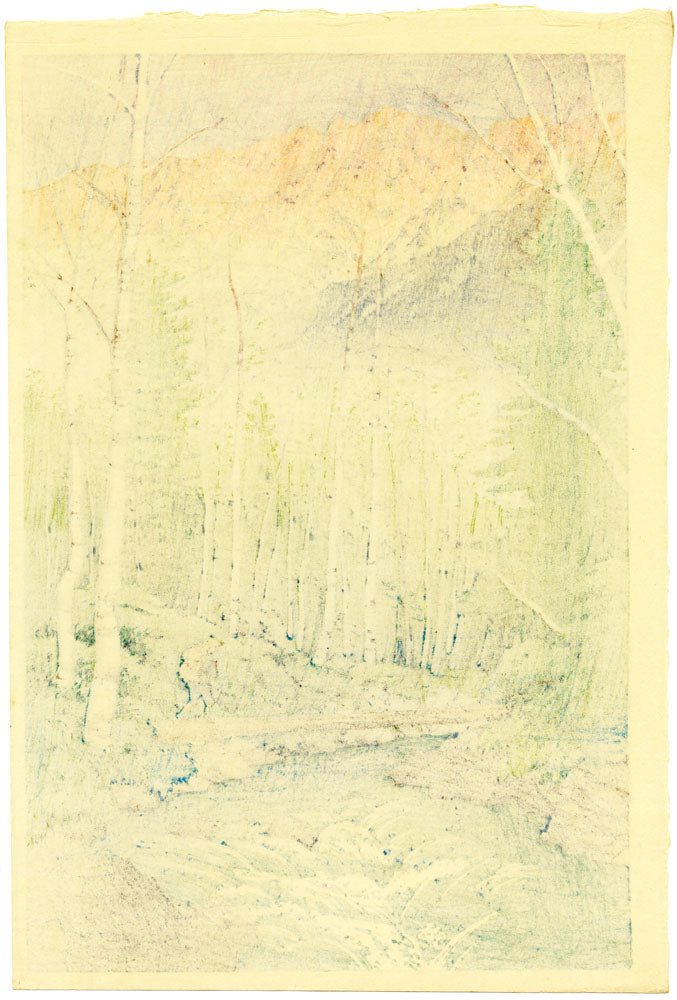 Takegawa River at Dawn