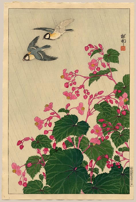 "Two Tree Sparrows Flying Over Flowering Begonia" by Shoson