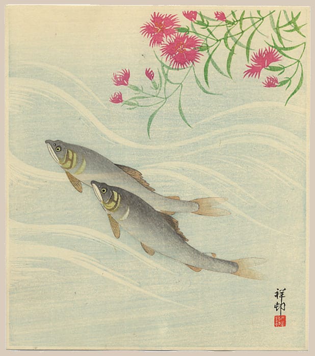 "Two Trout and Flowering Plant" by Shoson