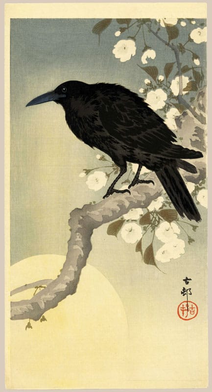 "Crow on Cherry Branch" by Koson