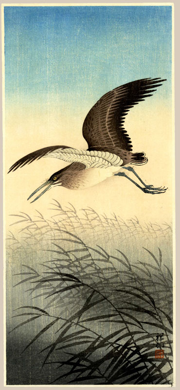 "Great Egret in Flight" by Shoson