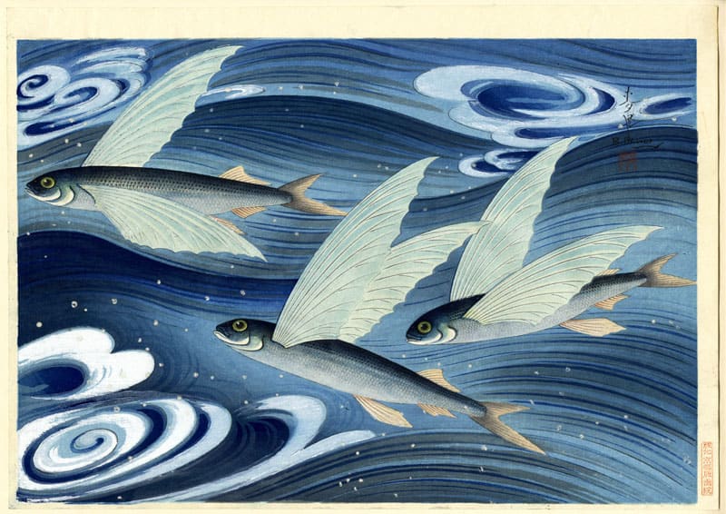 "Flying Fishes (Tobiuo)" by Bakufu, Ohno