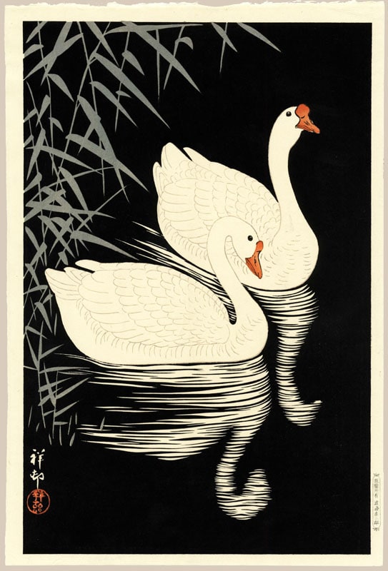 "Two Geese Swimming Near Reeds" by Shoson
