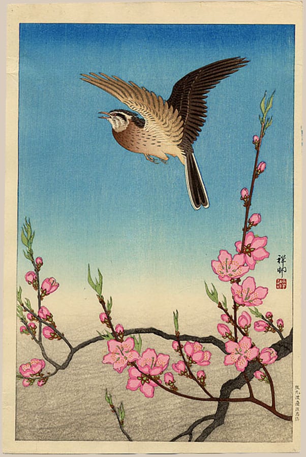 Thumbnail of Original Japanese Woodblock Print by
Shoson