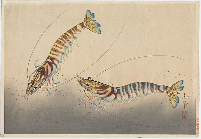 Thumbnail of Original Japanese Woodblock Print by
Bakufu, Ohno