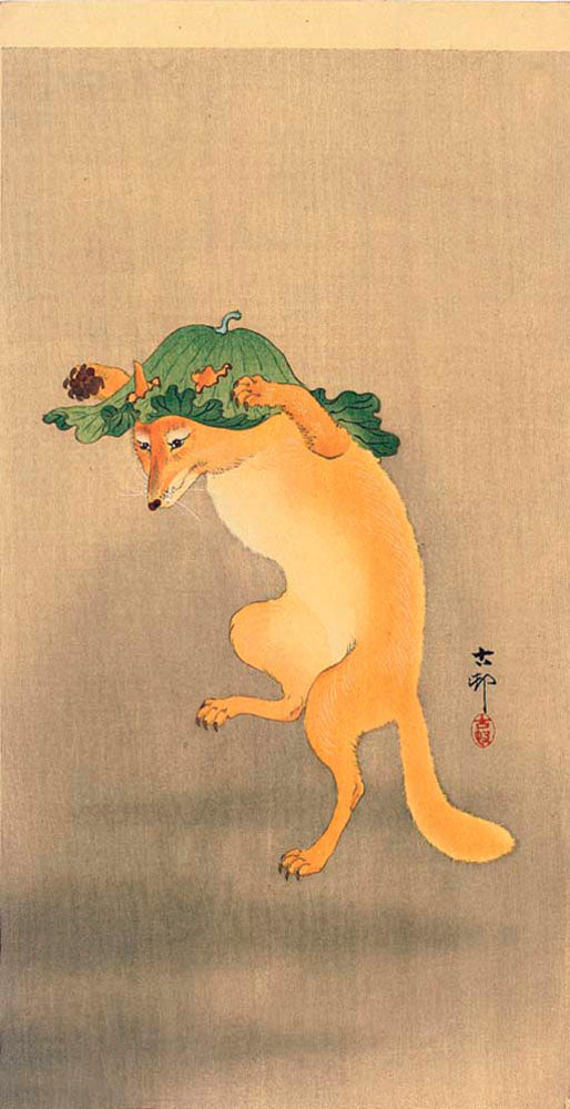 A Dancing Fox