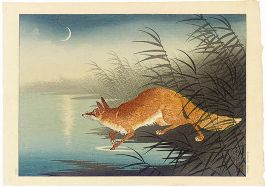 Fox and Reeds, near Moonlit Water