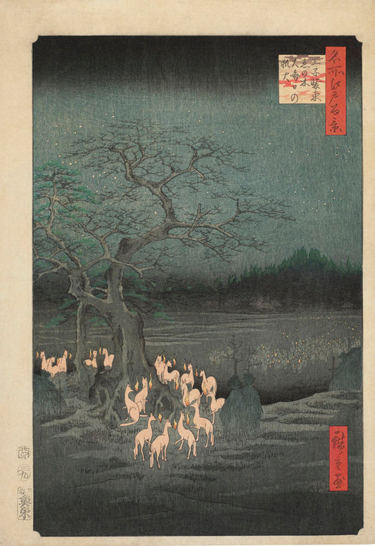New Year's Eve Foxfires at Nettle Tree, Oji