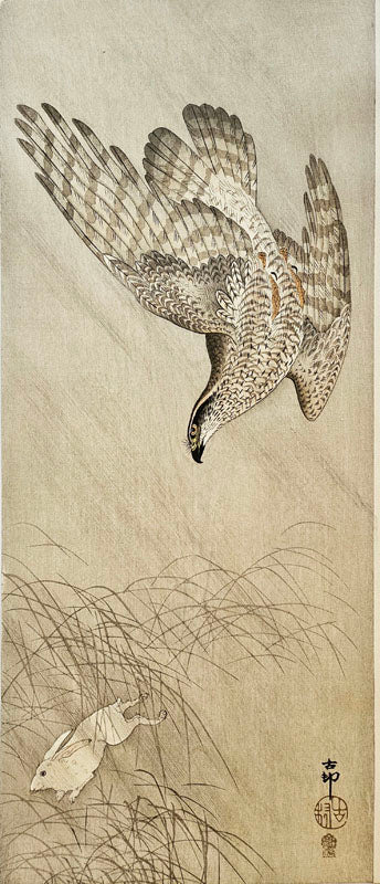 Goshawk Chasing a Rabbit (Naga-Oban Format)