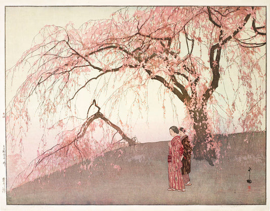 Kumoi Cherry Trees (Large Format)