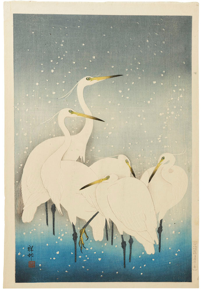 Herons in Snow