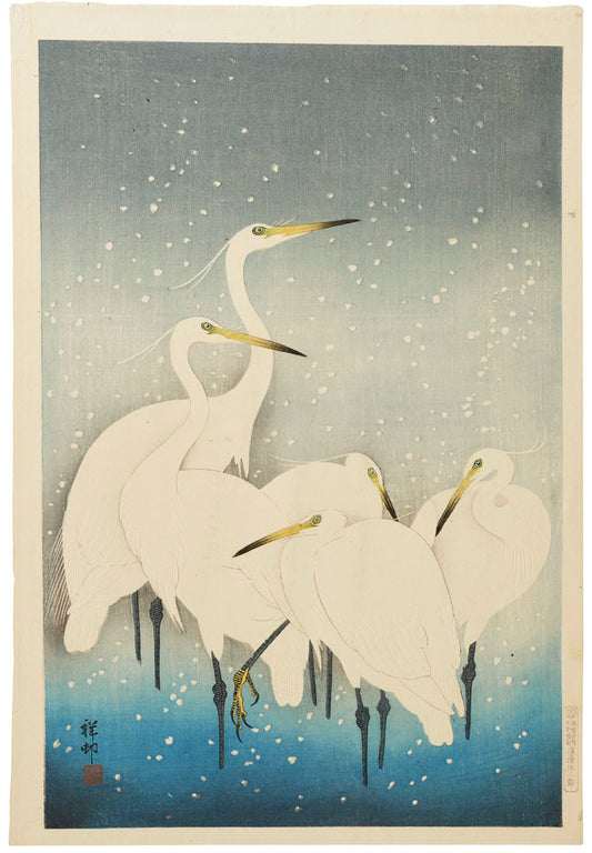 Herons in Snow