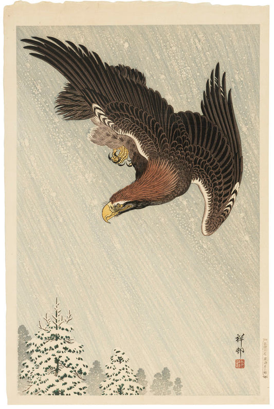 Eagle in Flight against a Snowy Sky