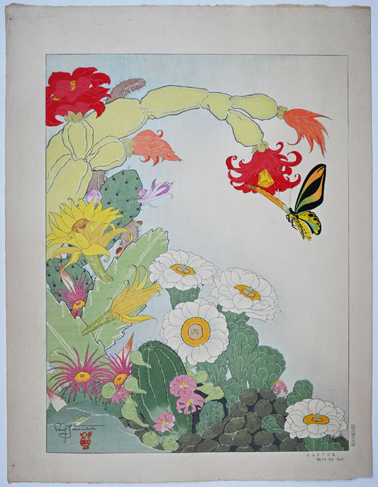 Cactus, South Sea (First State)