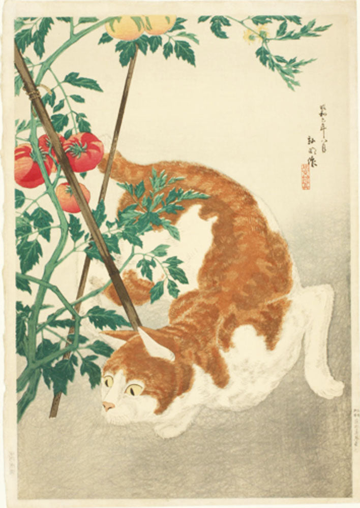 Brown Cat and Tomato Plant (Limited Edition)