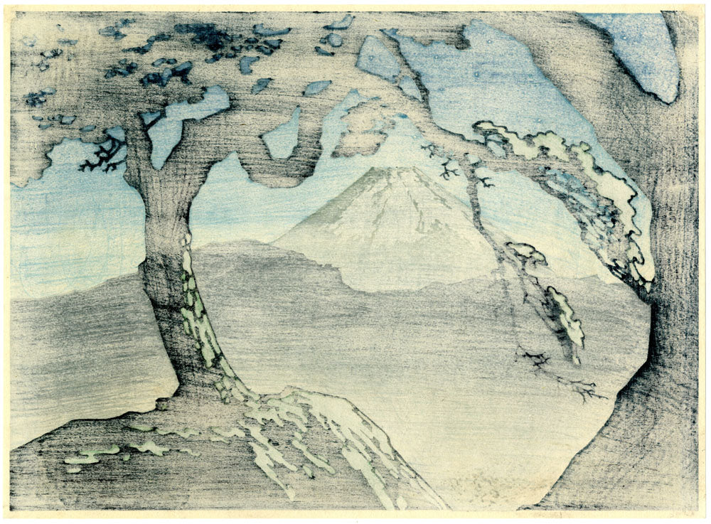 Mount Fuji under a Starry Night