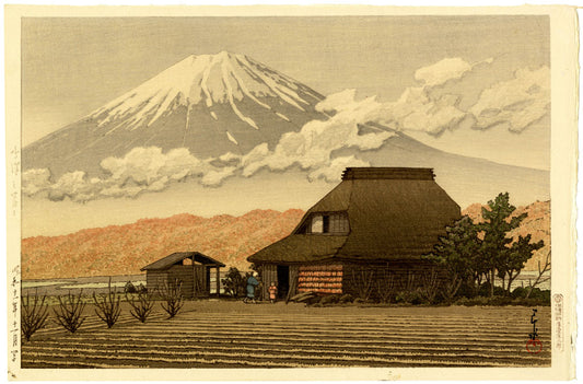 Mount Fuji at Narusawa