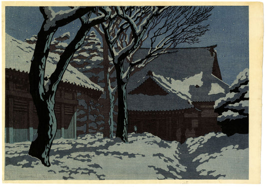 Winter Snow in Tokyo