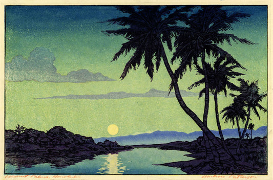 Coconut Palms in Honolulu, Hawai'i