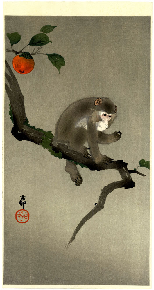 Monkey in Persimmon Tree