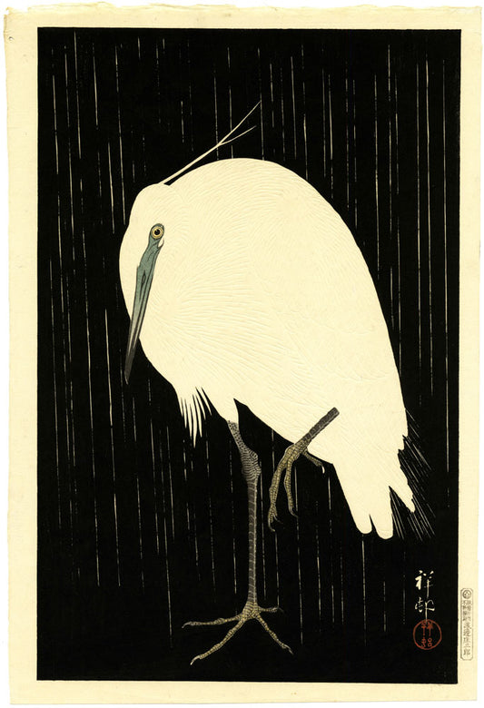 Egret in Rain