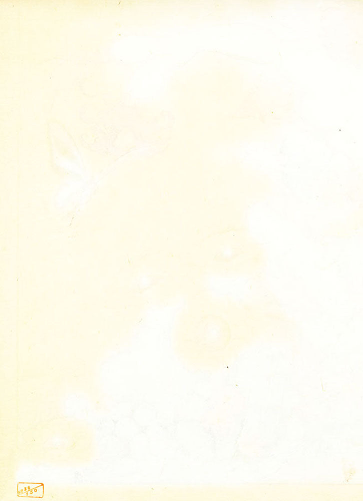 Cactus, South Sea (First State)