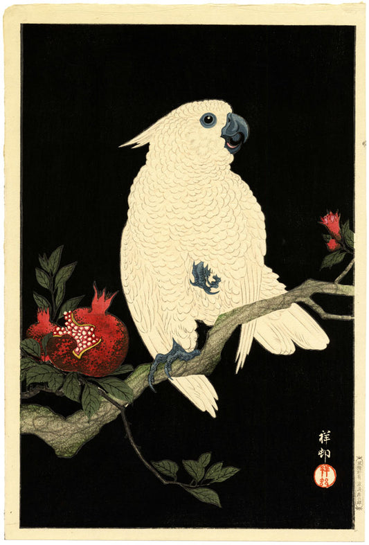 Cockatoo and Pomegranate