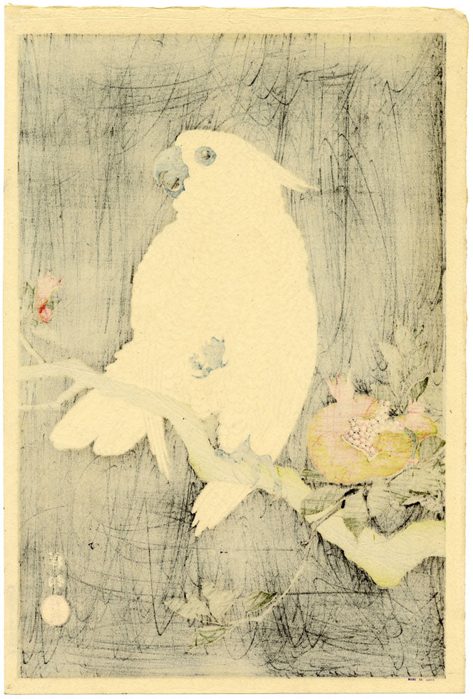 Cockatoo and Pomegranate