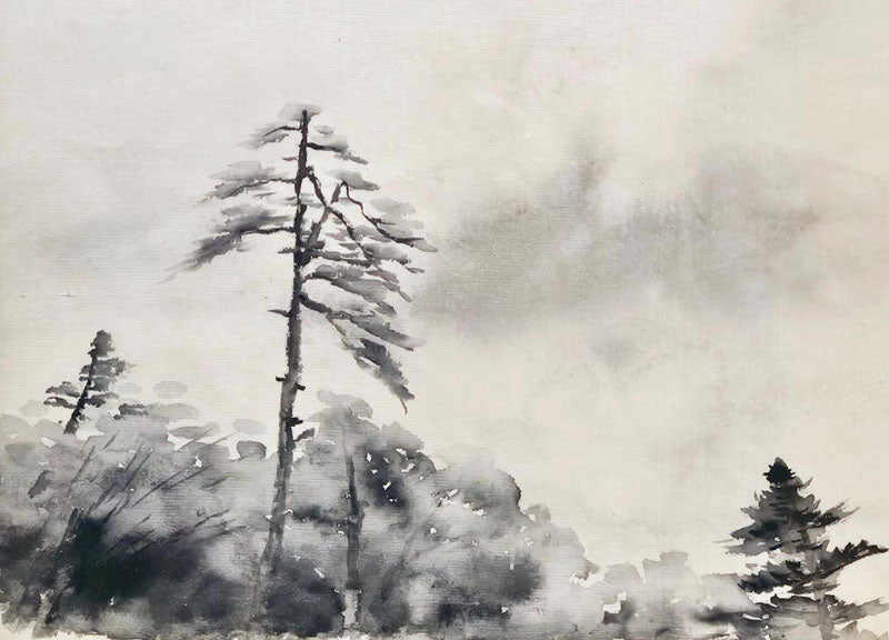 Pine Trees and Hillside in Mist - Original Painting